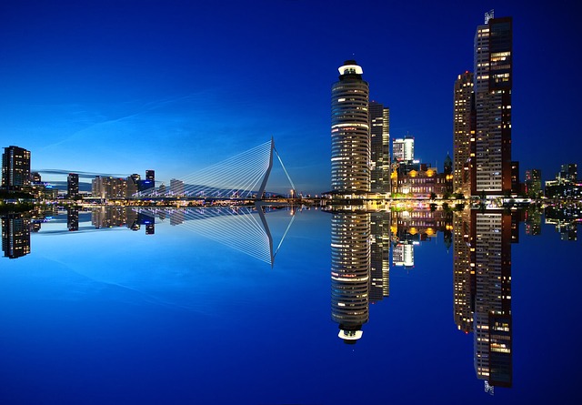 De groei en het succes van een online marketing bureau in Rotterdam